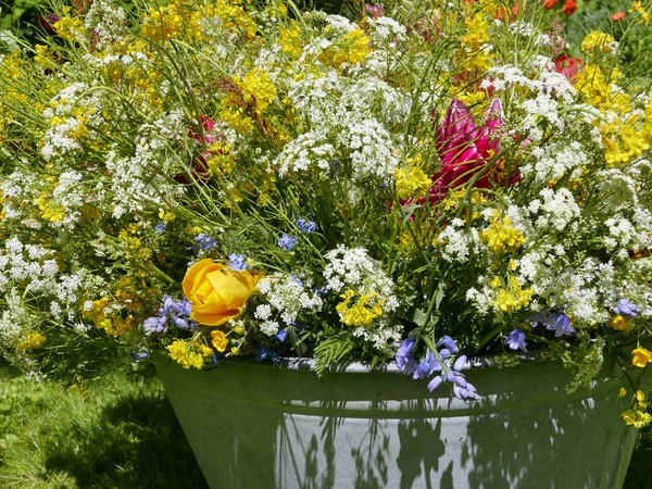 Peony bouquet in garden — Stock Photo, Image