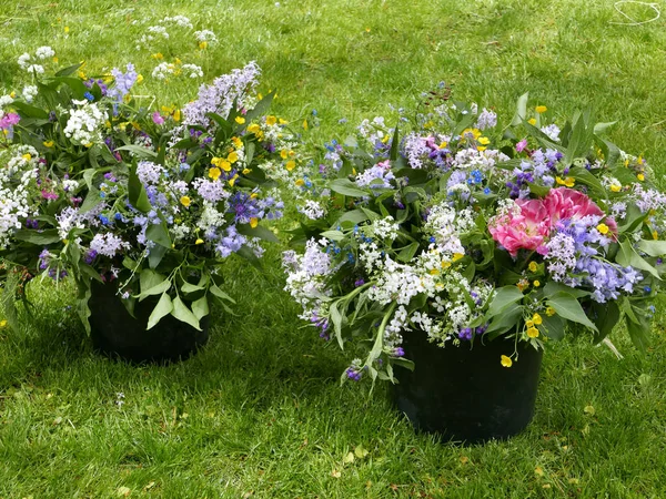 Bellissimo bouquet di siringhe — Foto Stock