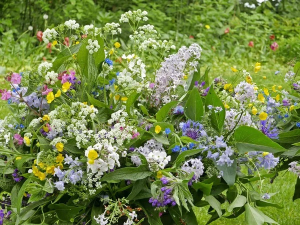 Mooie syringa boeket — Stockfoto