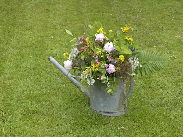 Bouquet di peonia in giardino — Foto Stock