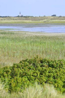 Church Den Horn, Texel