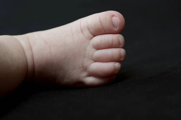 Bebek maması siyah — Stok fotoğraf