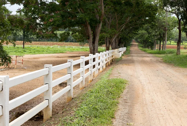 周围有树的牧场和国家道路的白色木栅栏 — 图库照片