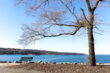 kış zamanında sahil ağaca ile genel sandalye 