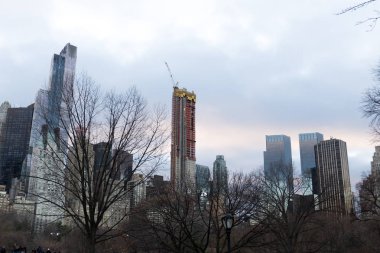 Logo Essex House Central Park New York'ta bina