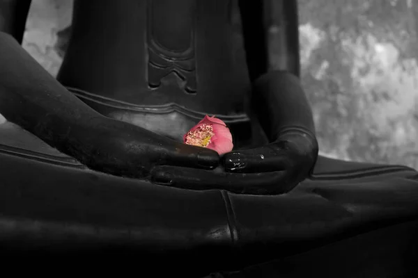 Lótus rosa na mão da estátua de buddha — Fotografia de Stock