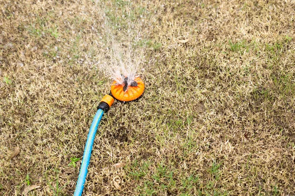 Trockener Rasen mit Sprinkler bewässern — Stockfoto