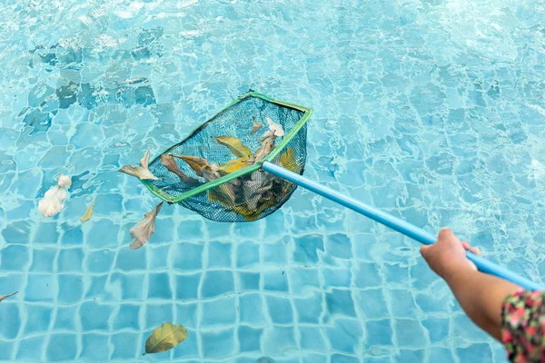 Schwimmbad mit Putznetz von Herbstlaub reinigen — Stockfoto