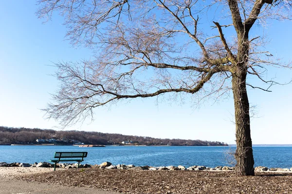 kış zamanında sahil ağaca ile genel sandalye 