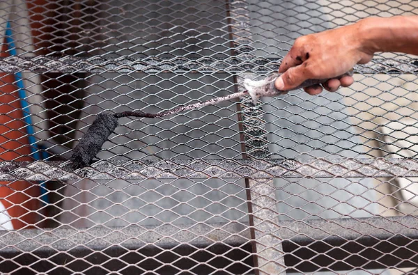 Mão segurando rolo de pintura aplicando tinta preta na escada de metal — Fotografia de Stock