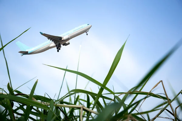 Samolot leciał nad niebo niebieskie i trawa zielona — Zdjęcie stockowe