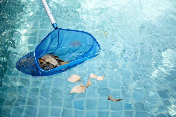 Limpieza de la piscina de hojas caídas con red de skimmer azul —  Fotos de Stock