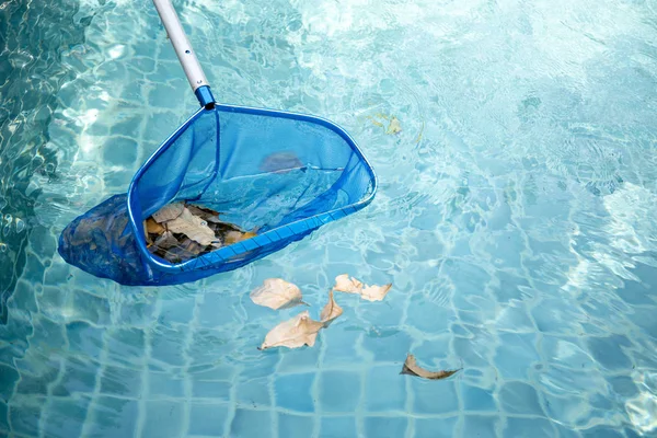 Piscina de limpeza de folhas caídas com escumadeira azul net — Fotografia de Stock