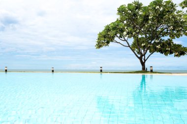 Plumeria ağaç ve mavi gökyüzü ve okyanus Yüzme Havuzu
