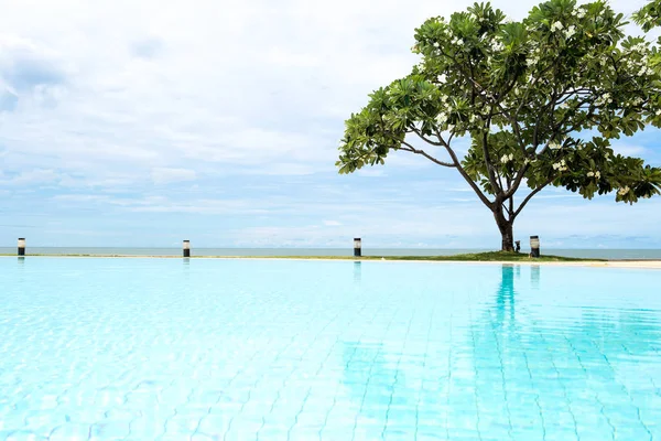 Piscina com Plumeria árvore e céu azul e oceano — Fotografia de Stock