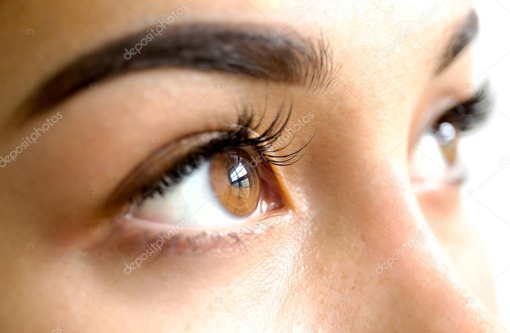 Close up female brown eyes with long eyelashes 