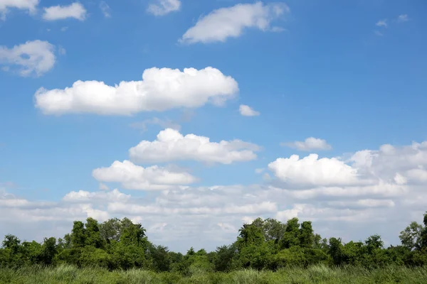 Güzel beyaz bulutlar mavi gökyüzü ve yeşil çalılar 