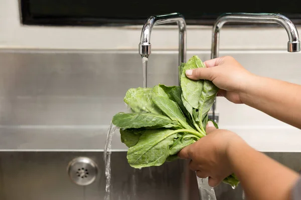 Hand washing green organic vegetables in kitchen sink