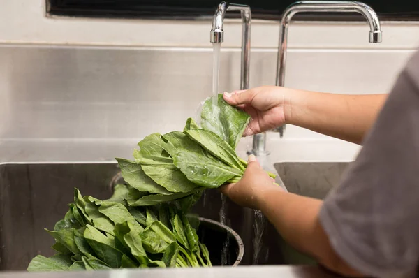 Lavage à la main de légumes bio verts dans un évier — Photo