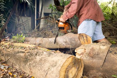 profesyonel testere bıçak kesim günlük ahşap