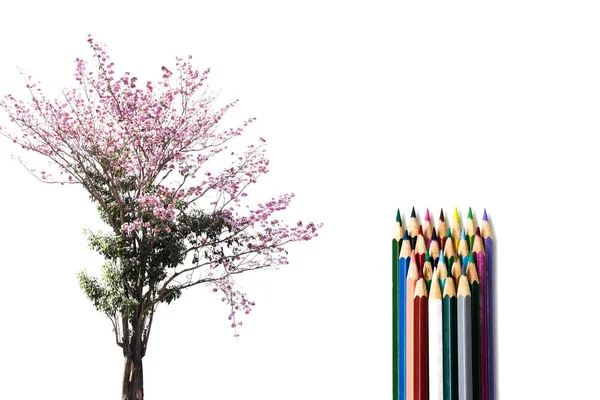 Miljö konceptuella trädet blomma med färgpennor isolerade — Stockfoto