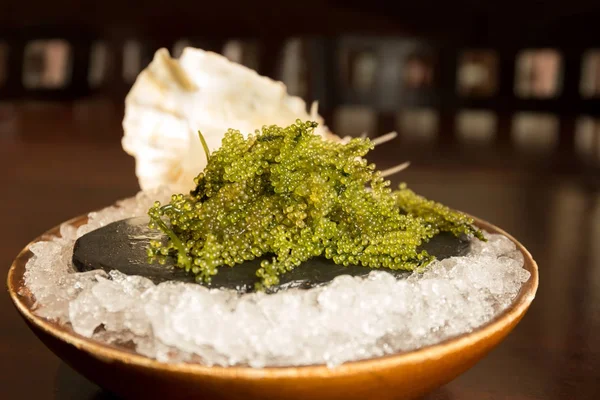 Umi-budou Algas marinas o caviar verde Comida marina saludable o uvas marinas —  Fotos de Stock