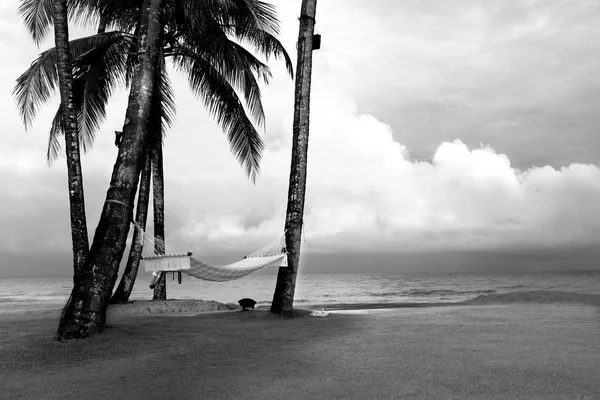 Hamaca cerca de la playa del océano y el cielo — Foto de Stock