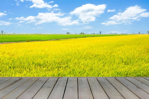 Holzdeck mit schöner Farbe Reis in blauem Himmel abgelegt — Stockfoto