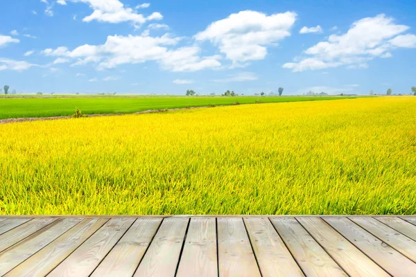 Holzdeck mit schöner Farbe Reis in blauem Himmel abgelegt — Stockfoto