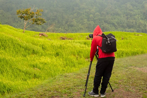 Fotógrafo con trípode y cámara tomando fotografías del campo de arroz en la montaña . — Foto de Stock