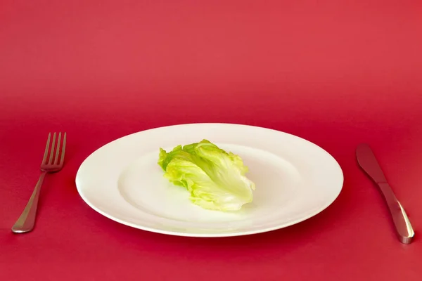 Laitue verte sur plaque blanche avec couteau et fourchette isolés en fond rouge . — Photo