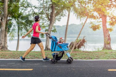 Parkta bebek arabasında küçük bir köpekle yürüyen tanımlanamayan kadın egzersizi..