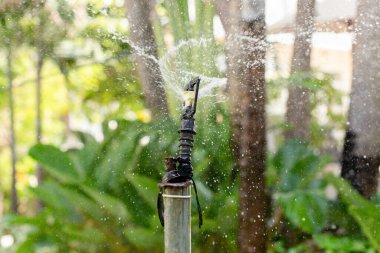 Automatic sprinkler system watering the plant in the garden.