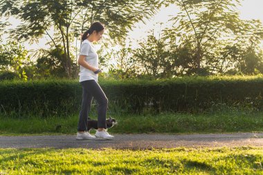 Parkta Chihuahua köpeğiyle gezen kadın egzersizi..