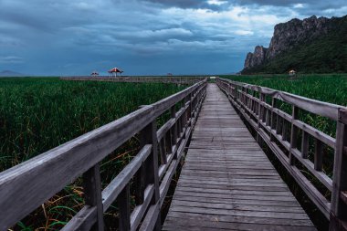 Arka planda dağ ve gökyüzü ile göle açılan tahta ayak köprüsü..