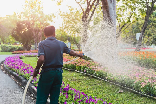 Hombre mayor regando flores en el parque . —  Fotos de Stock