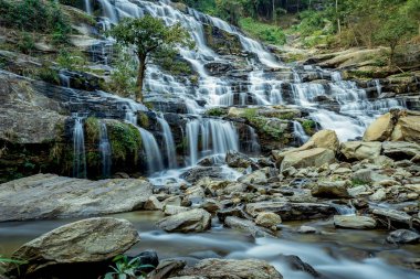 Mae Ya Şelalesi 'nin doğal yağmur ormanları Chiang Mai' de..
