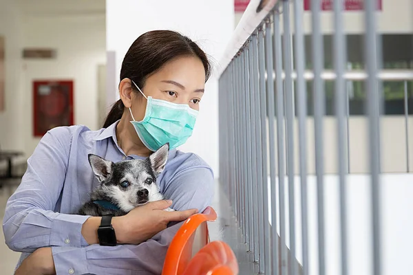 Woman in protective surgical mask holding dog Protection coronavirus. Covid-19 concept