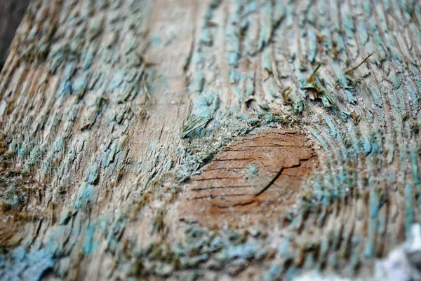 Dřevo Vždycky Vypadá Atraktivně Kufr Kůra Pahýl Prkno Řezivo Přírodní — Stock fotografie