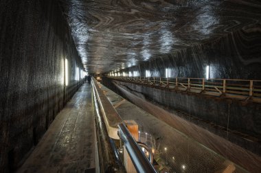 Salina Turda 'daki Rudolf madeni Romanya' nın Cluj ilinin ikinci büyük kenti Turda 'nın Durgau-Valea Sarata bölgesinde yer alan bir tuz madenidir.