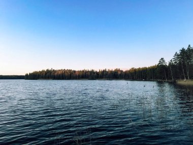 Büyük göl ve orman manzarası. Açık mavi gökyüzü ve ufuk çizgisi