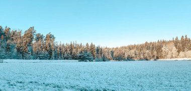 Idyllic doğa manzarası, bulutlu mavi gökyüzü ve yeşil alan
