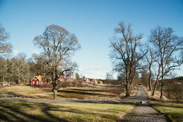 Country View Sweden Country Road Trees — Stock Photo, Image