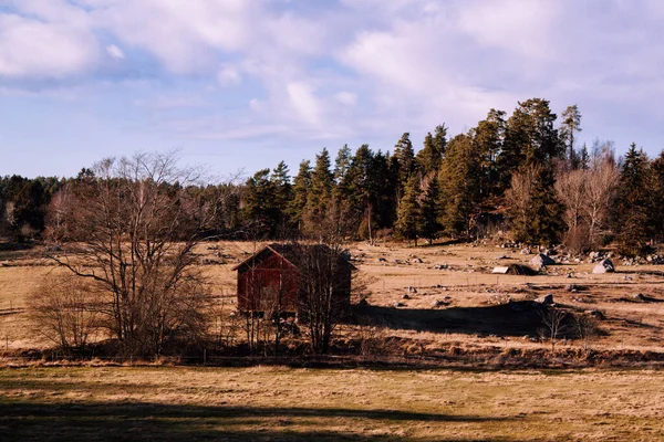 Идиллический Ландшафт Швеции Скандинавии — стоковое фото