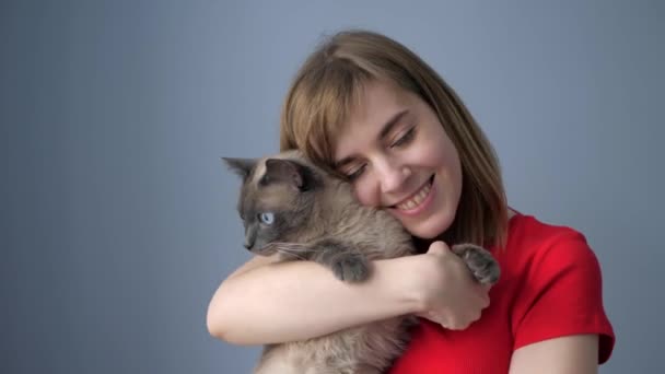 Cheerful woman squeezes the cat, hugs and kisses at home indoors. — Stock Video