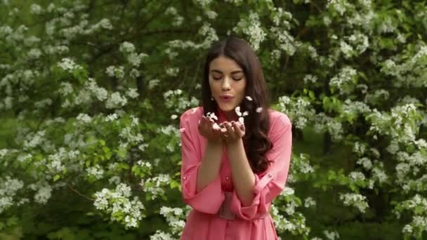 ピンクのドレスに長い髪を持つ美しいファッショナブルな女性は白い花弁を咲かせる森の中の手からそれらを吹きます — ストック動画