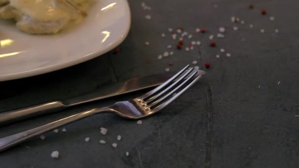 Вид Аппетитное Мясное Блюдо Белым Соусом Жареными Картофельными Ломтиками Питание — стоковое видео