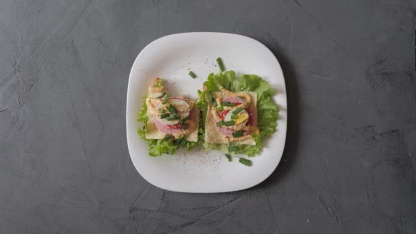 Dos Sabrosos Sándwiches Coloridos Plato Blanco Comen Paz Por Paz — Vídeos de Stock