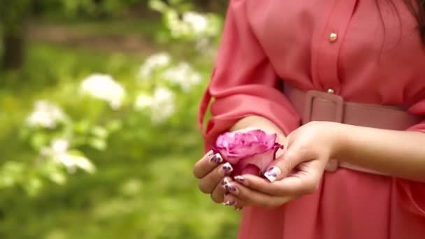 ピンクのドレスで長い髪の美しいファッショナブルな女性は 開花森の中でバラの芽を嗅いでいます — ストック動画