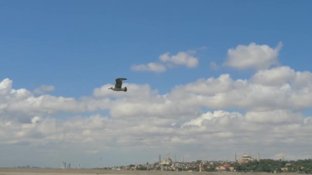 A gaivota está sobrevoando o mar. Dia quente do verão, mar azul, nuvens no céu. — Vídeo de Stock